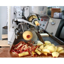 Fxp-22 Apple Peeling und Coring Maschine